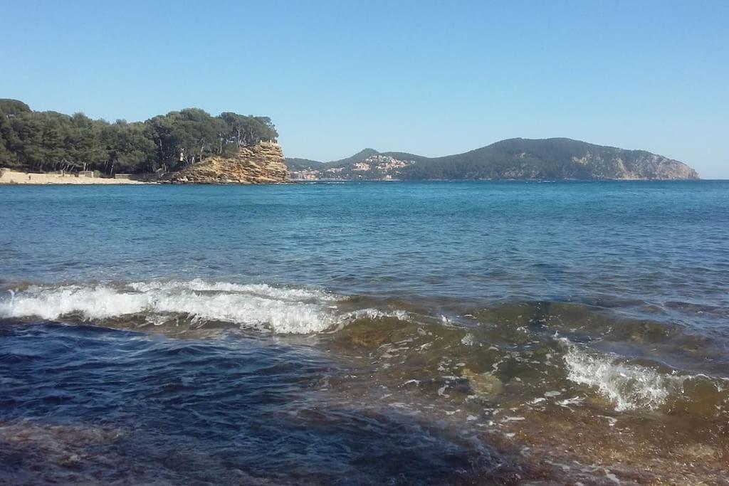 Studio 4 Pers Coeur Du Lavandou 5Mn A Pied Des Plages Le Lavandou Eksteriør bilde